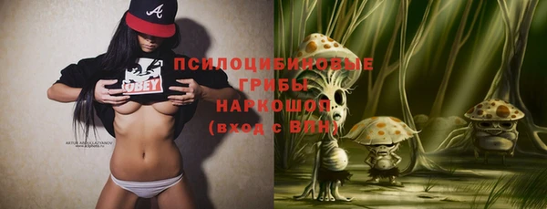 стафф Козловка