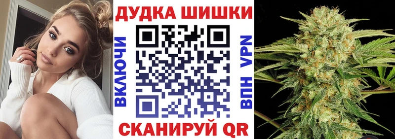 Конопля гибрид  цена   Серафимович 